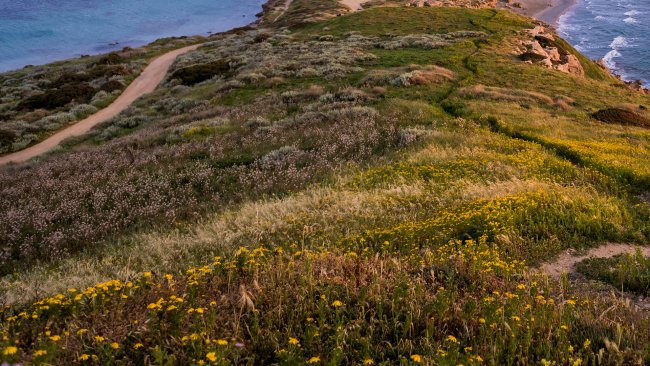 Zanimanje trazeno u građevinarstvu, vodoprivredi, poljoprivredi i mnogim drugim oblastima