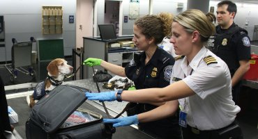 Carinski tehničar, IV stepen