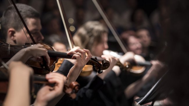 Svako ko je završio osnovnu muzičku školu i to na odseku koji se odnosi na klasičnu muziku, stekao je pravo da zvanično pristupi polaganju prijemnog ispita i upiše smer muzički izvođač!