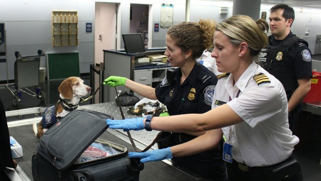 Obično je dečacima mnogo interesantnije zanimanje carinski tehničar, IV stepen, ali je sve više i devojčica koje se odlučuju za školovanje za pomenuto zanimanje, koje inače takođe spada u red perspektivnih...