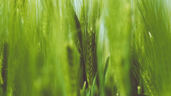 Kako se menjaju trendovi u oblasti poslo&hellip;