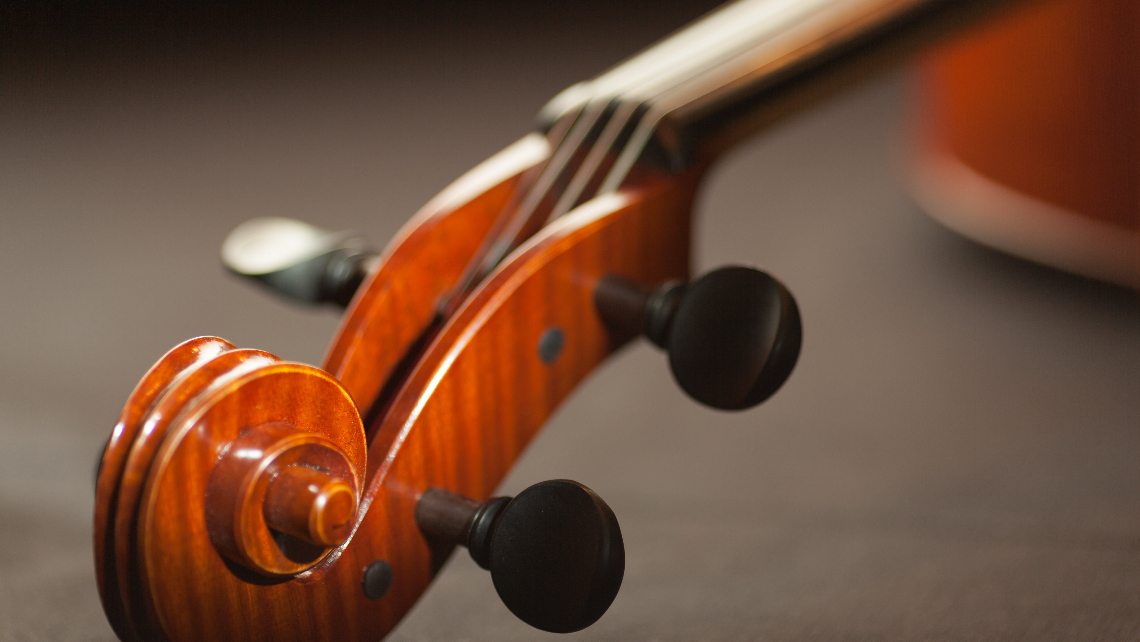 Srednja muzička škola Jagodina