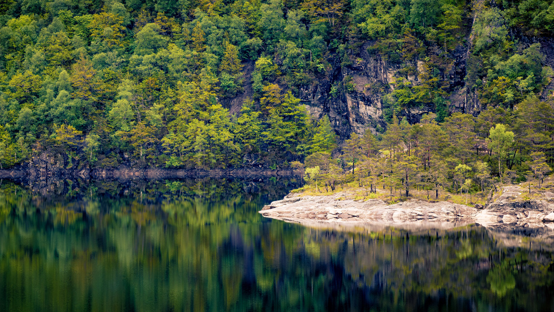 Srednja šumarska škola
