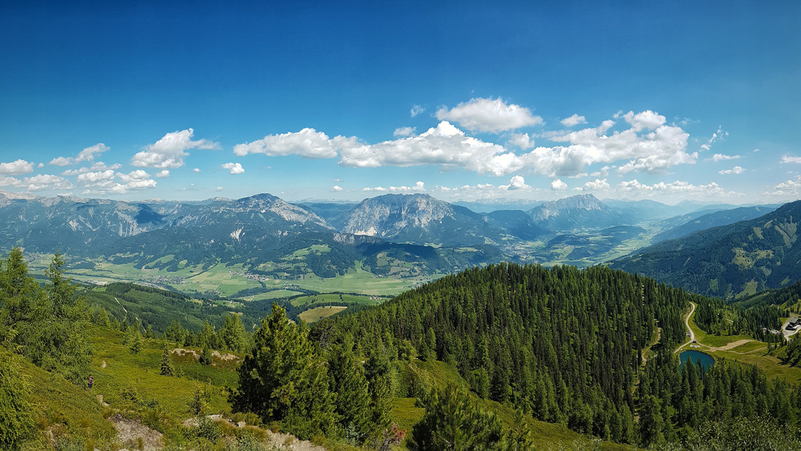 Srednja šumarska škola